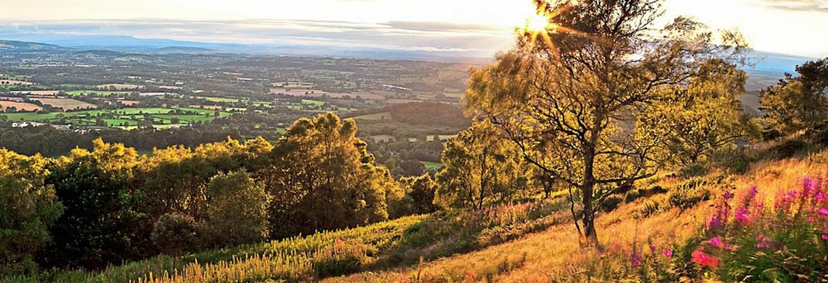 Malvern Hills Area of Outstanding Natural Beauty
