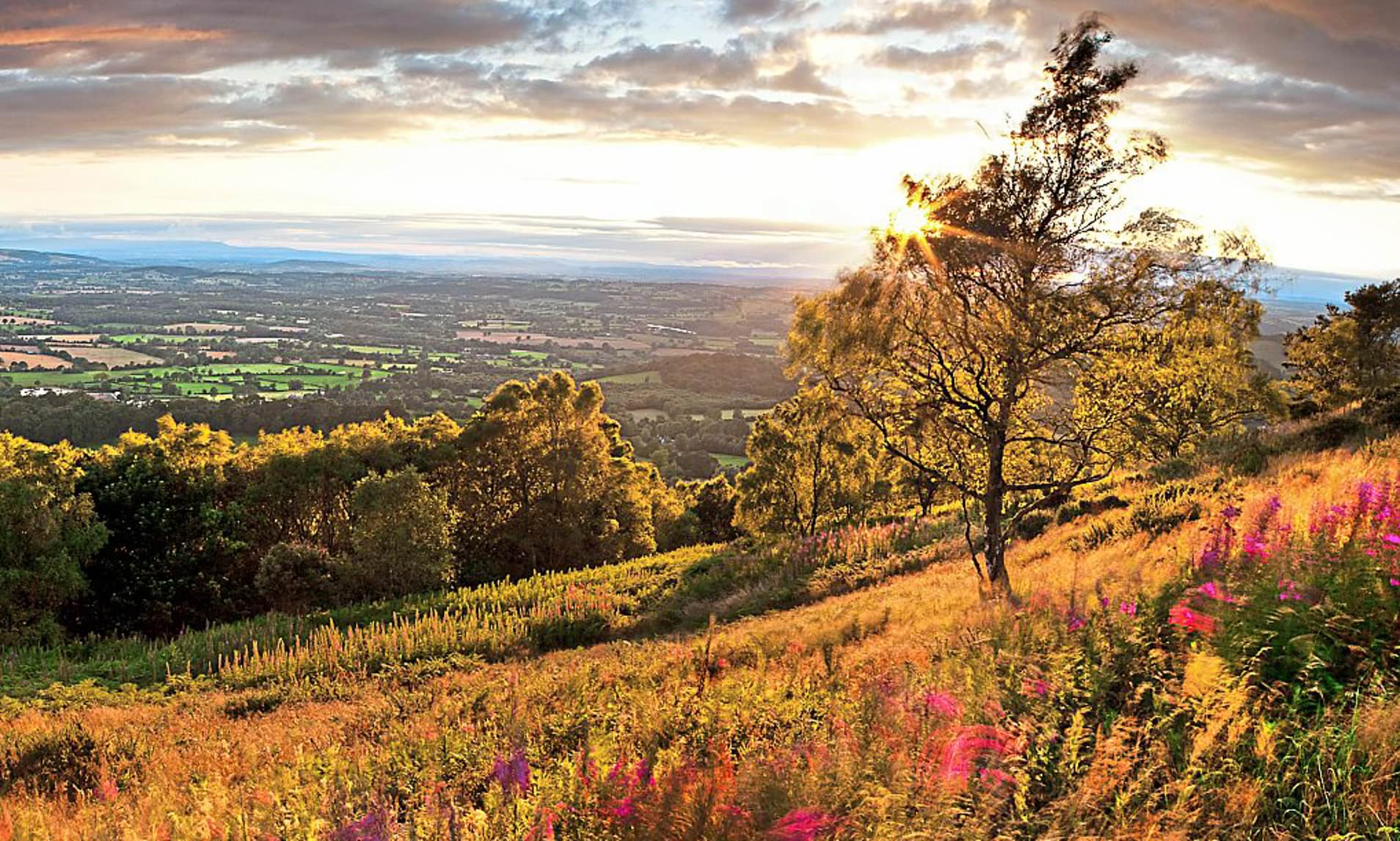 Malvern Hills Area of Outstanding Natural Beauty