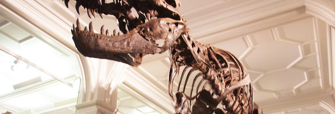 Manchester Museum