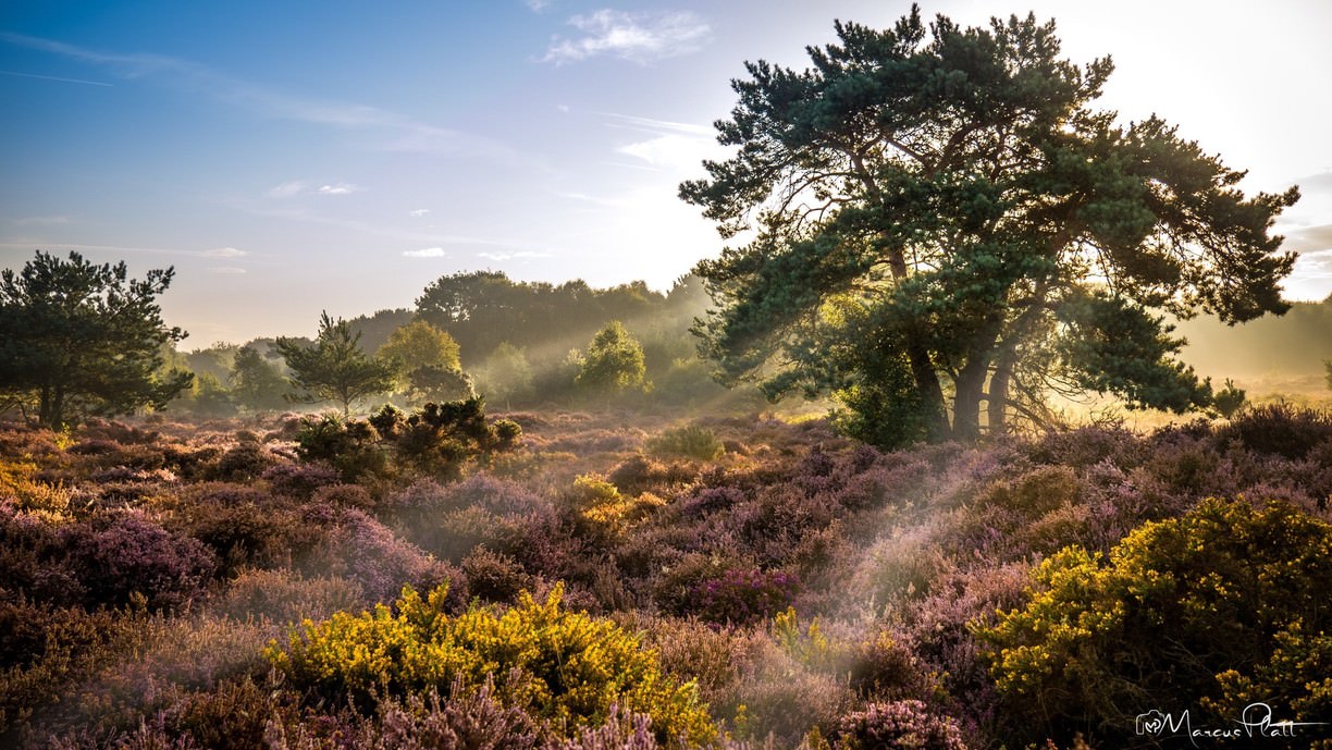 National Trust - Dunwich Heath and Beach - Heroes Of Adventure