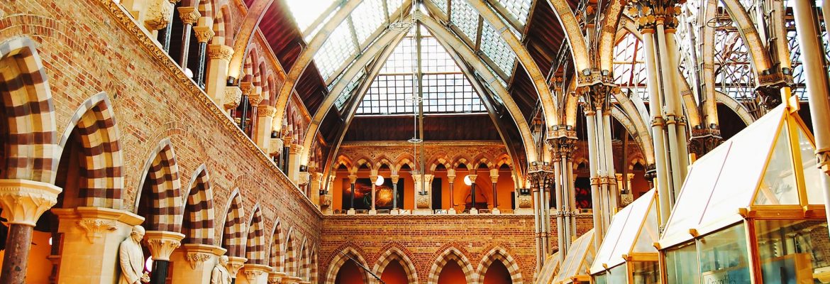 Oxford University Museum of Natural History