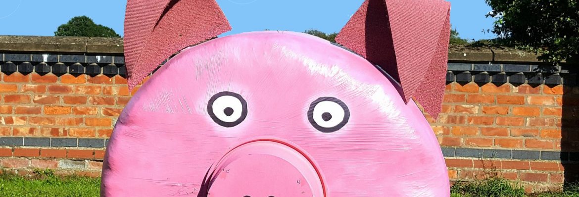 Piglets Adventure Farm