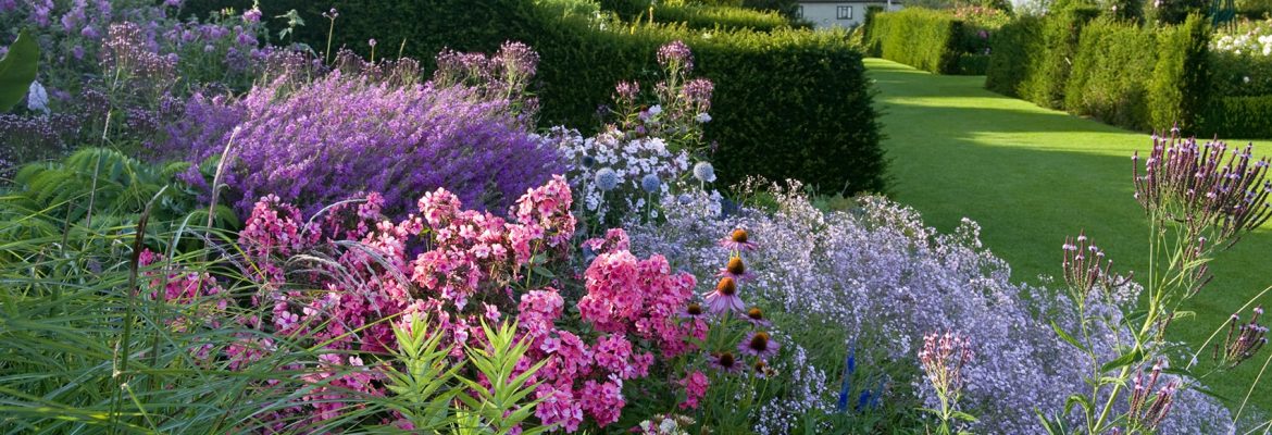 RHS Garden Hyde Hall