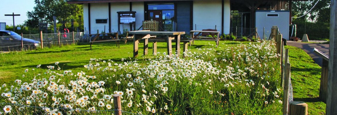 Romney Marsh Visitor Centre
