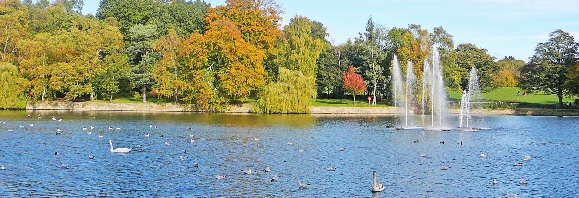 Roundhay Park