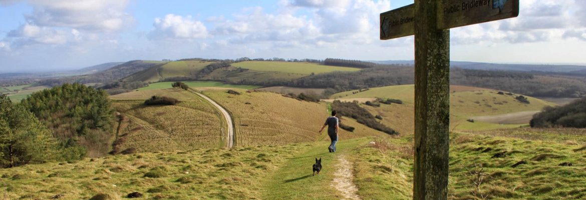 South Downs Way Hike