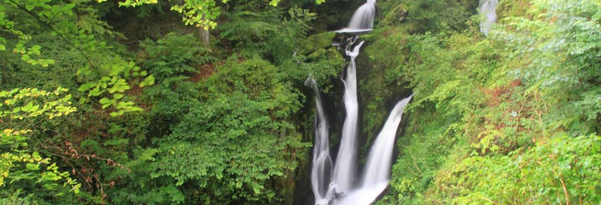 Stock Ghyll Force