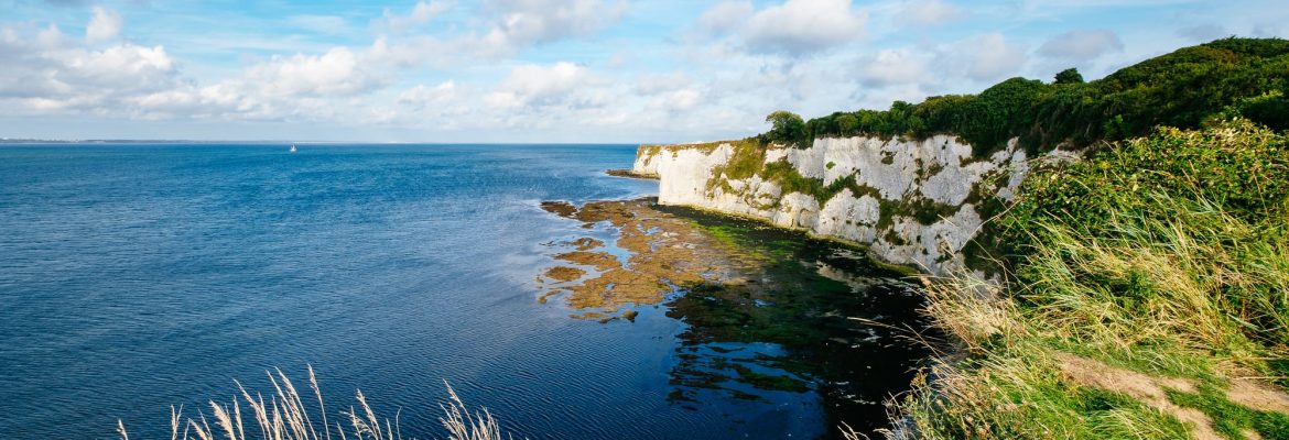 Studland Nature Reserve