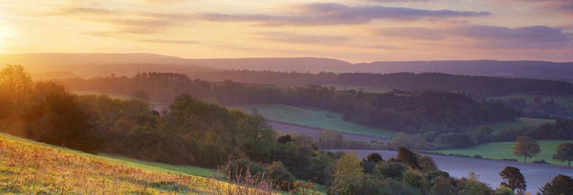 Surrey Hills Area of Outstanding Natural Beauty, Tadworth, UK