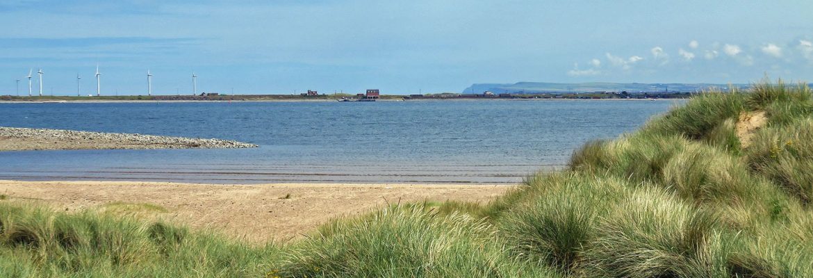 Teesmouth National Nature Reserve