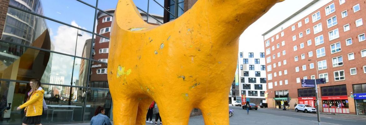 The Drumlin’s Super Lambanana