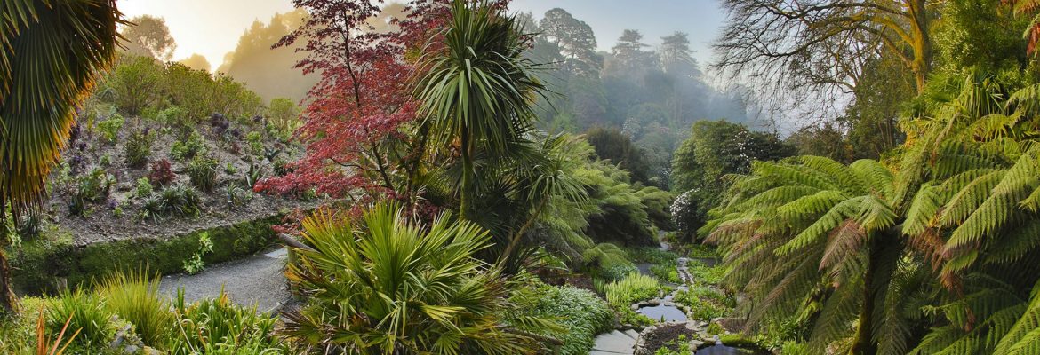 Trebah Garden