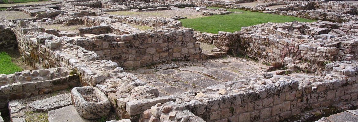 Vindolanda Fort and Museum