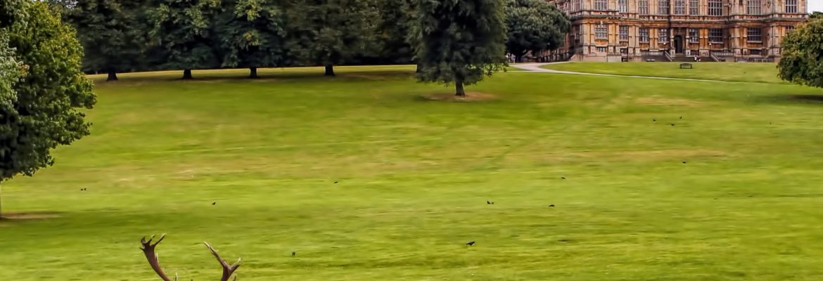 Wollaton Hall, Gardens and Deer Park