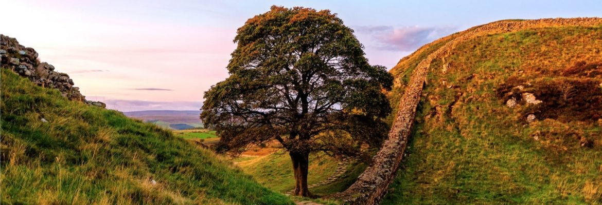 Sycamore Gap