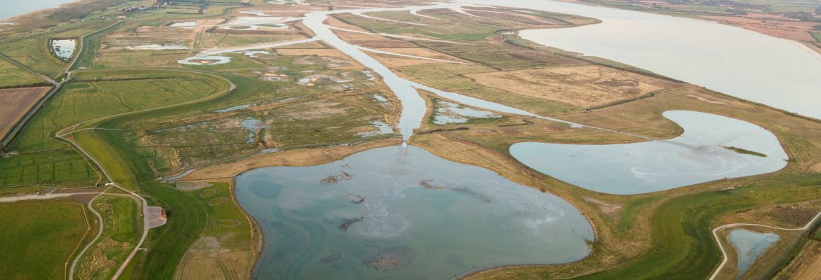 WWT Steart Marshes