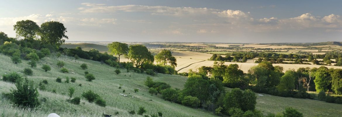 Chiltern Hills AONB