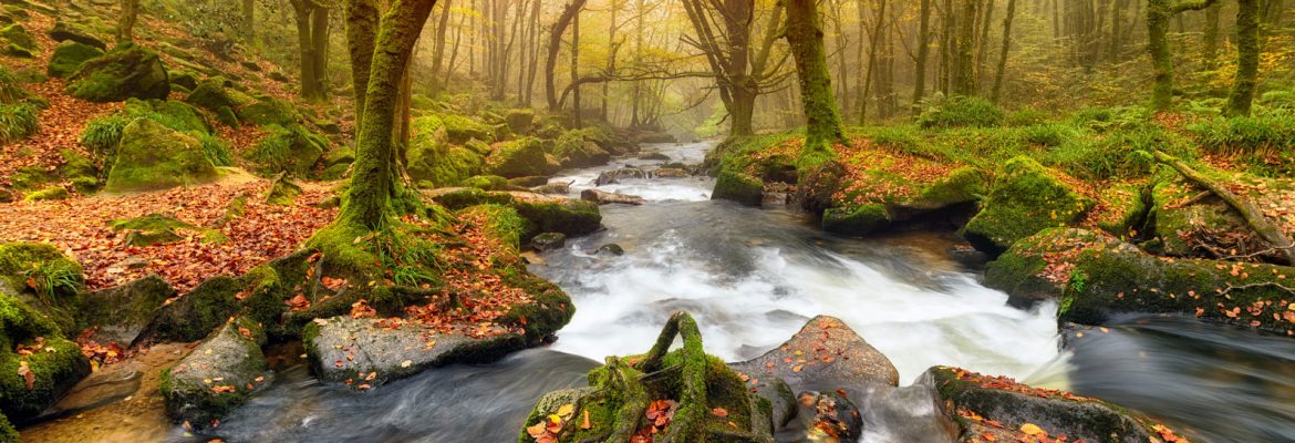 Golitha Falls