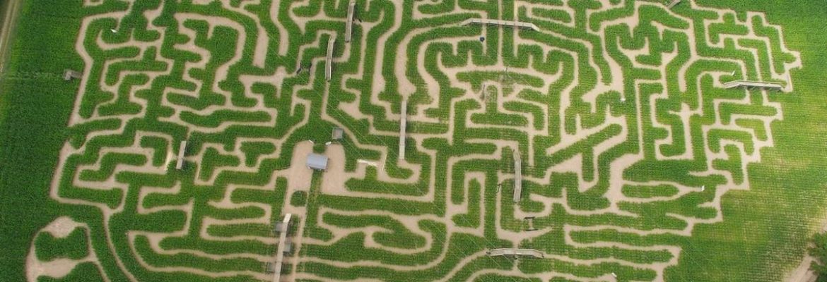 The Great Worcester Maize Maze - Heroes Of Adventure