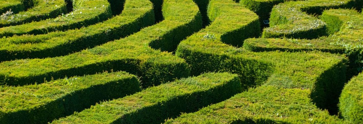 The aMazing Hedge Puzzle