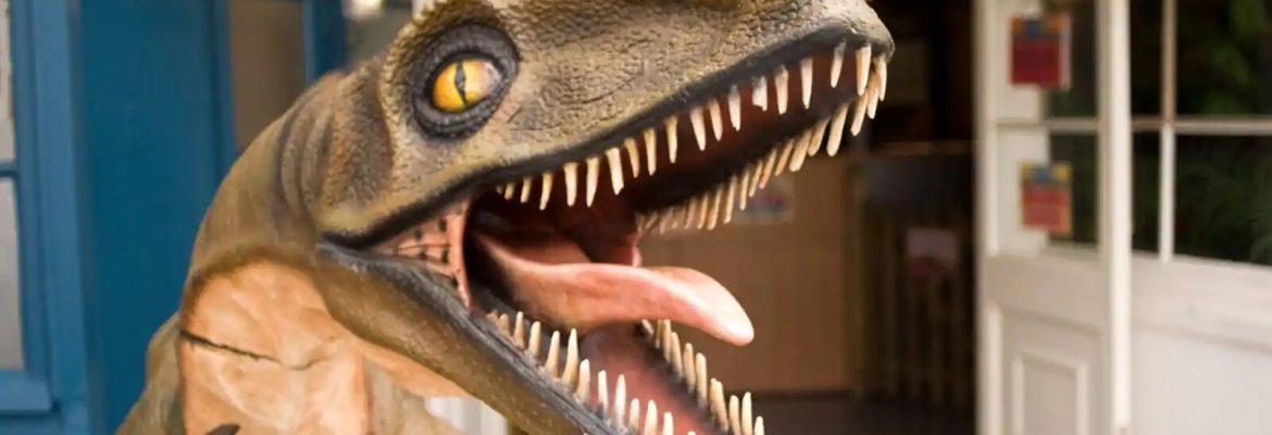 Torquay’s Dinosaur World