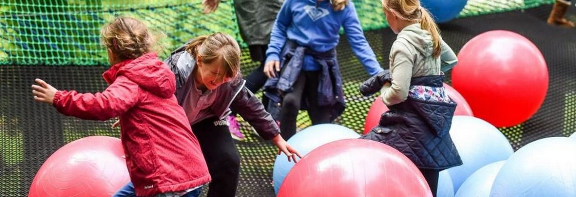 Treetop Manchester – Treetop Trek & Treetop Nets