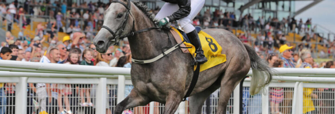 Wolverhampton Racecourse