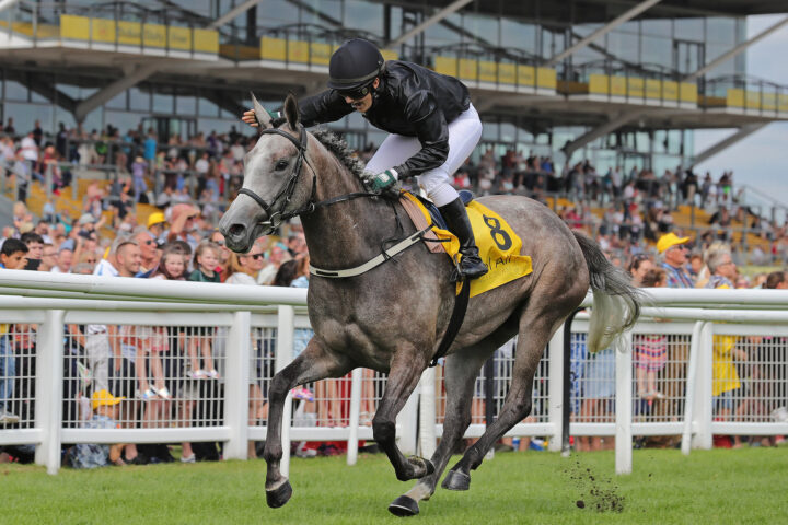 Wolverhampton Racecourse