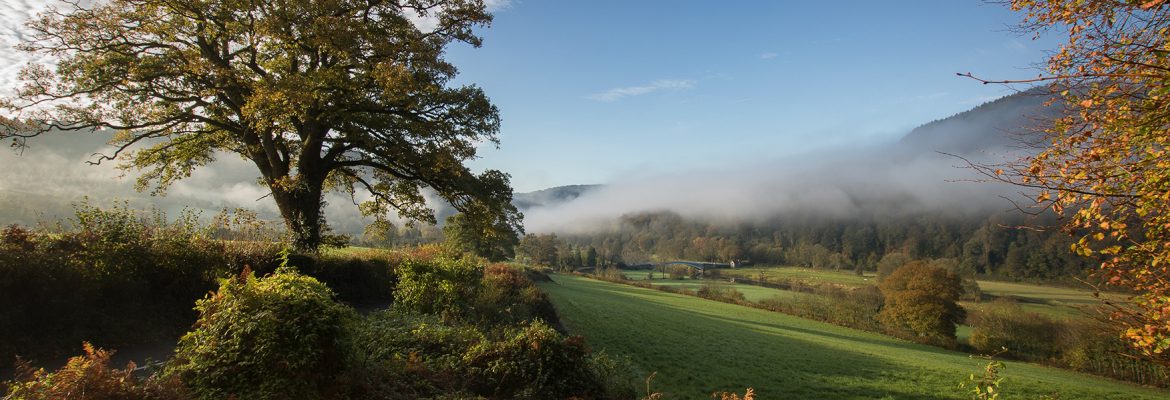 Wye Valley Area of Outstanding Natural Beauty (AONB)
