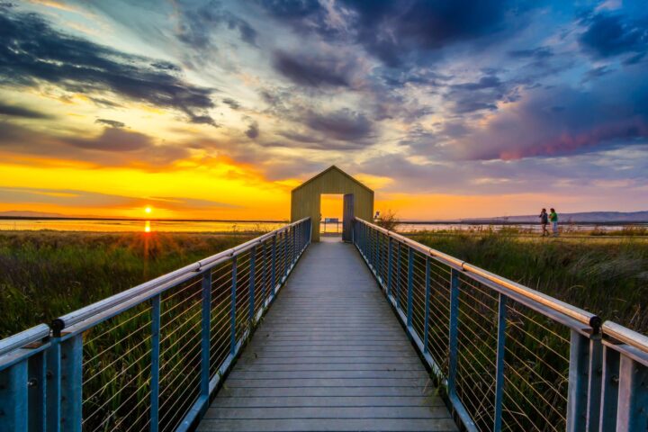Alviso Marina County Park