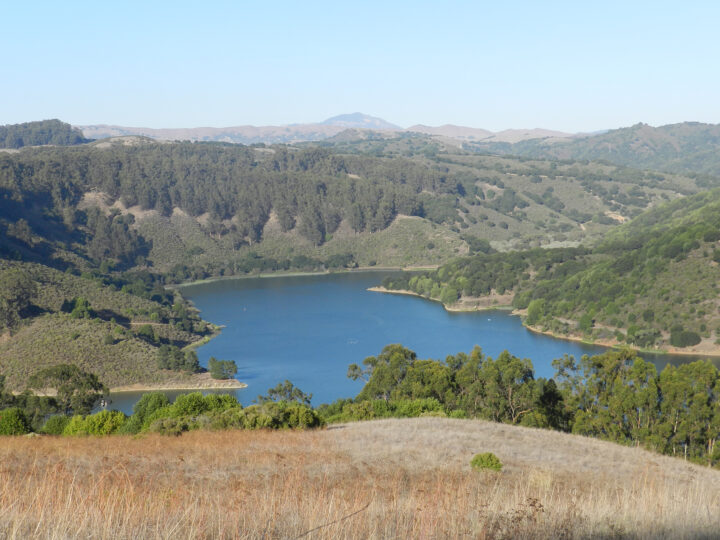 Anthony Chabot Regional Park