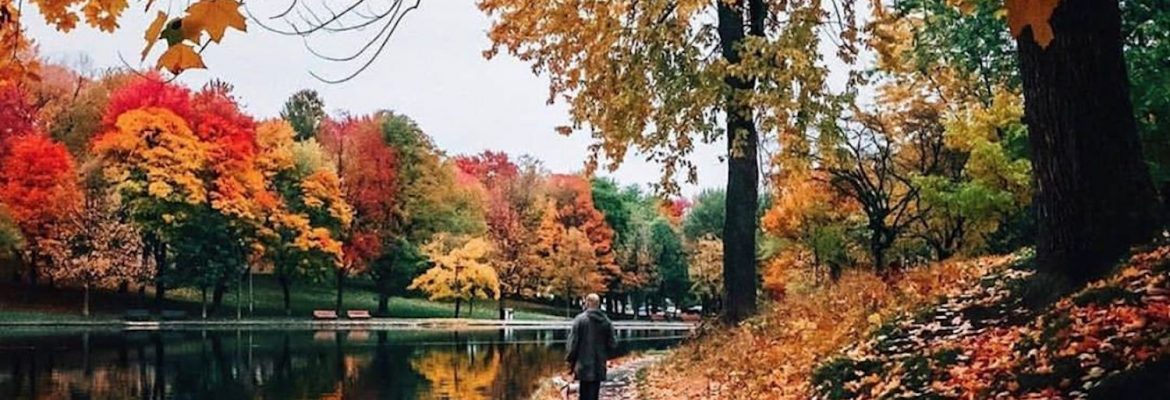 Etienne Brulé Park