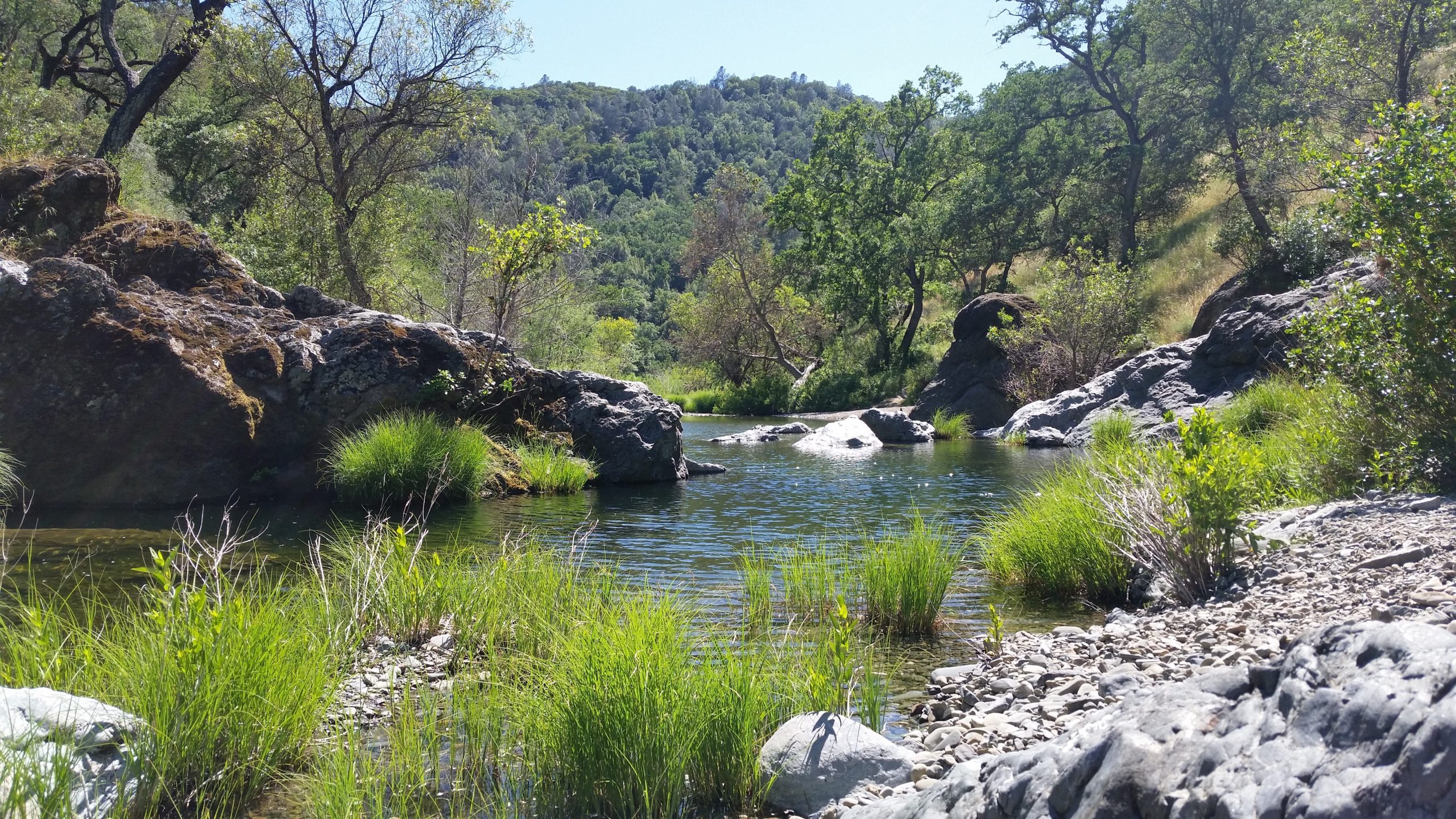 henry w coe state park        
        <figure class=