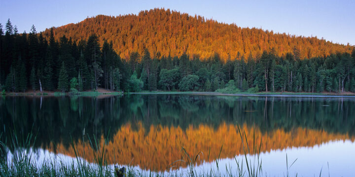 Mendocino National Forest