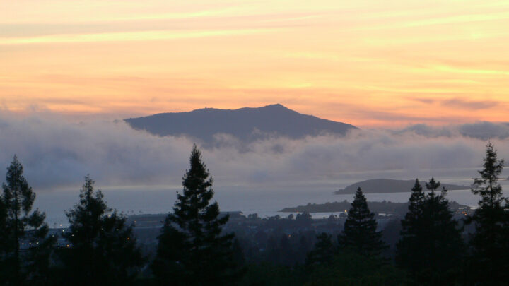 Mount Tamalpais State Park
