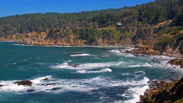 Salt Point State Park