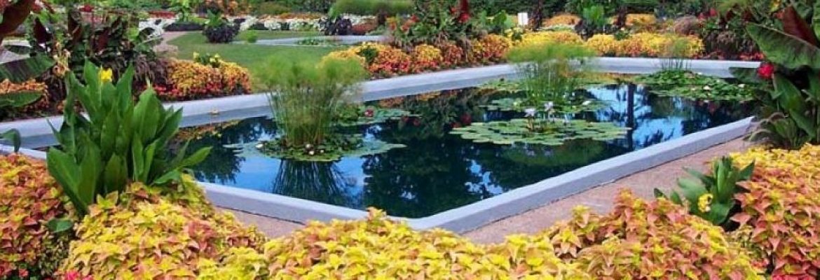 Sunken Garden