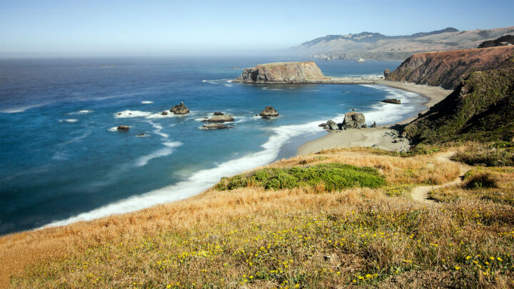 Sonoma Coast State Park