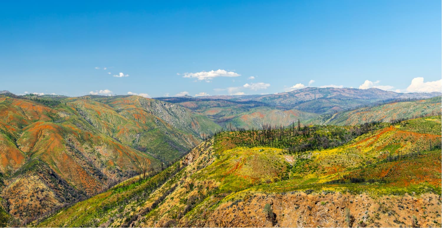 Stanislaus National Forest - Heroes Of Adventure