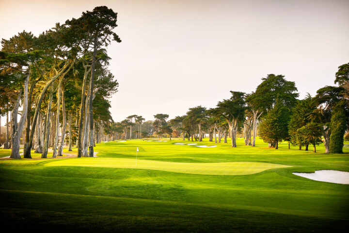 TPC-Harding-Park-Golf-Course