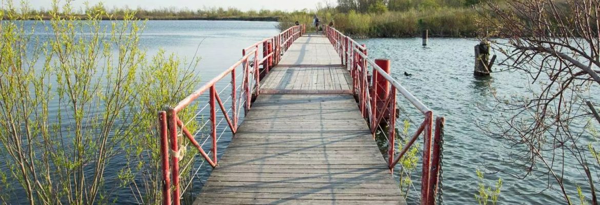 Tommy Thompson Park