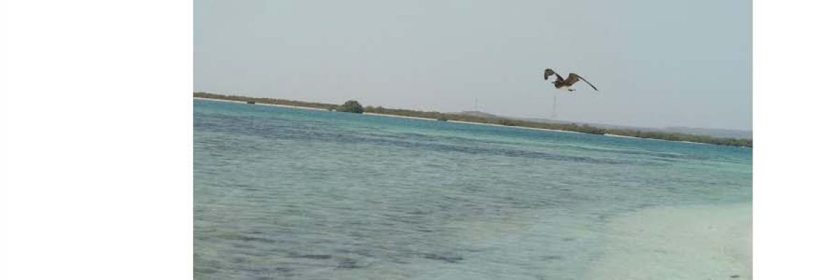 An Nuhud Beach