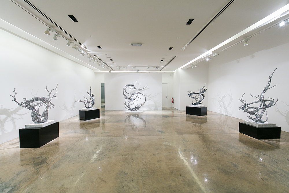 Anima Gallery