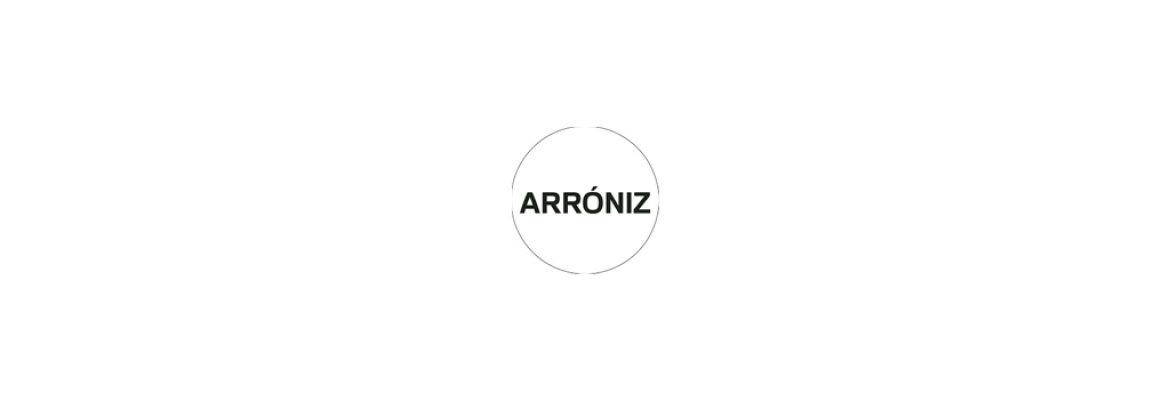 Arroniz Contemporary Art