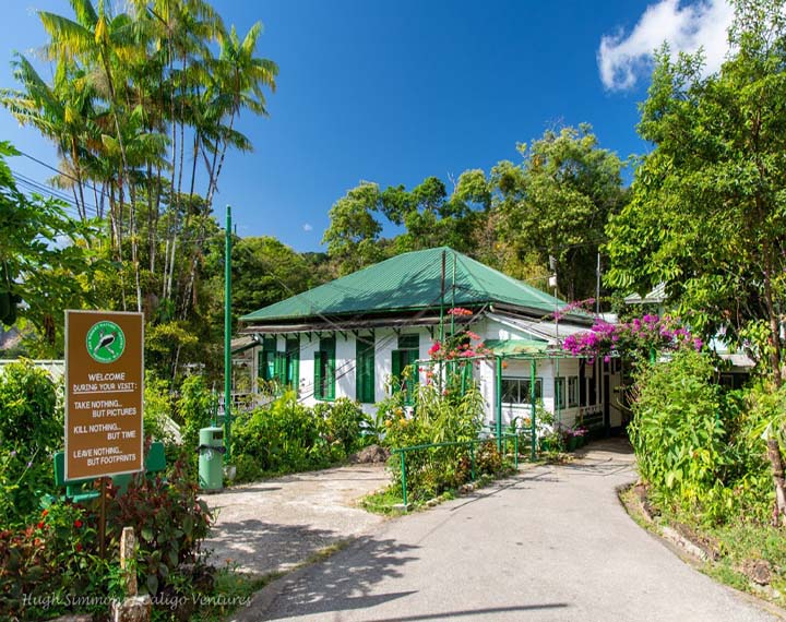 asa-wright-nature-centre-lodge