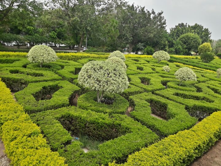 Ayub National Park