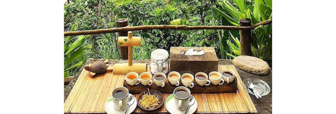 Bali Pulina Coffee Plantation