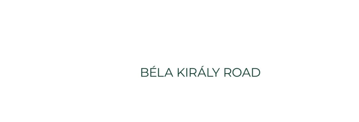 Béla Király Road