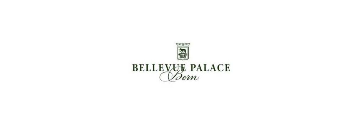 Bellevue Palace