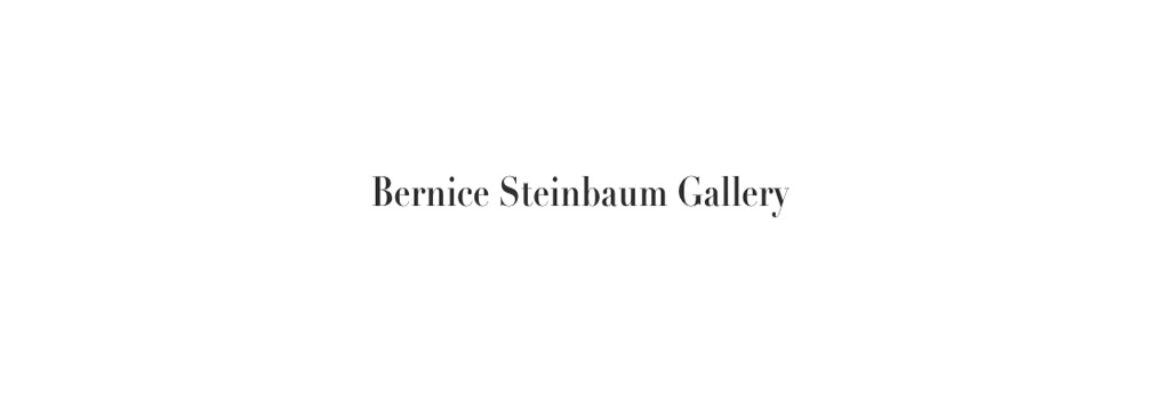 Bernice Steinbaum Gallery